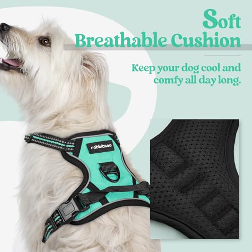 Dog Harness No Pull for Small Dogs with 2 Leash Clips (X-Small / Turquoise)
