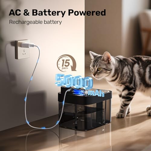 Cat Water Fountain (Black)