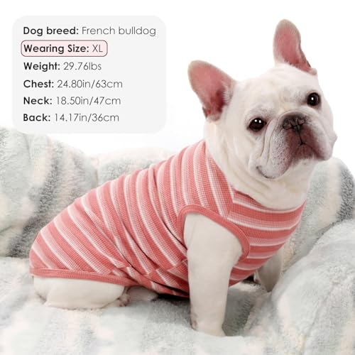 3Pack Dog Shirts Lightweight Waffle Dog Shirt for Small DogsSleeveless Dog Shirt for Small Medium Boy Girl Dogs Cozy & Breathable Pet Vest (S(Back: 11.8", Chest: 15.7", 5.5-8.8lbs) / Striped+Light Pink+Gray Pink)
