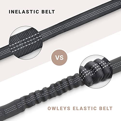Dog Seat Belt for Car