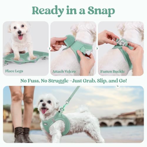 Dog Harness Small Sized and Leash Set (Moss Green / S (chest: 15.1 - 16.5"))