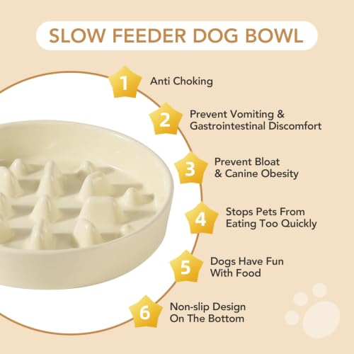 Elevated Slow Feeder Dog Bowls (Light Yellow)