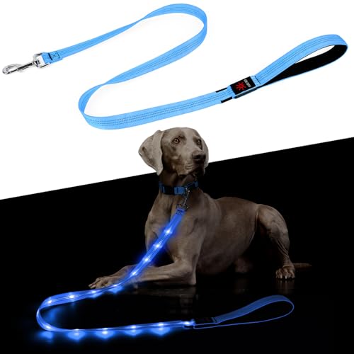 Light Up Dog Leash (Blue)