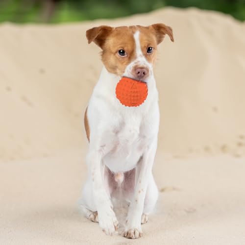 Interactive Squeaky Dog Chew Toy (Spiky Ball (Blue, Orange) / Large)