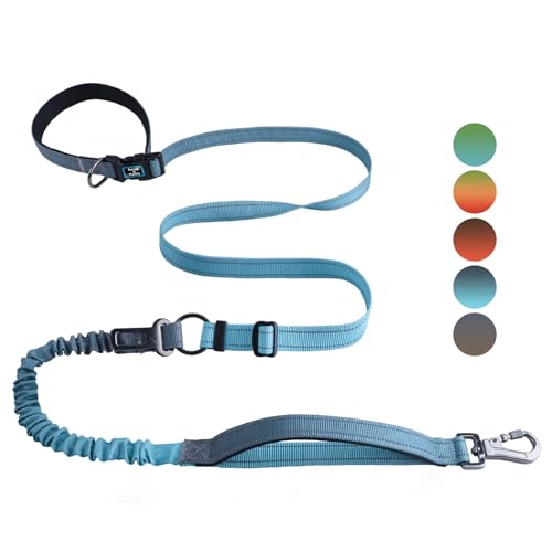 Hands Free Dog Leash for Medium Large Dogs Heavy Duty (Aquamarine)