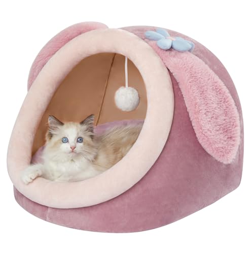 Cute Cat Bed for Indoor (Medium / Pink purple)