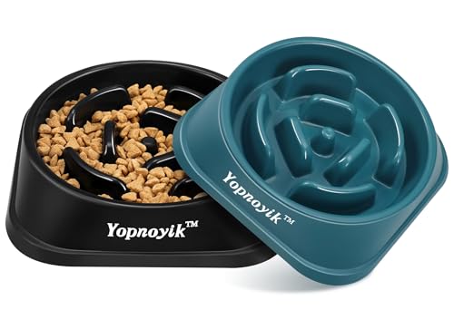 2 Pack Slow Feeder Dog Bowls for Large Dogs (Large / Black and Navy Blue)
