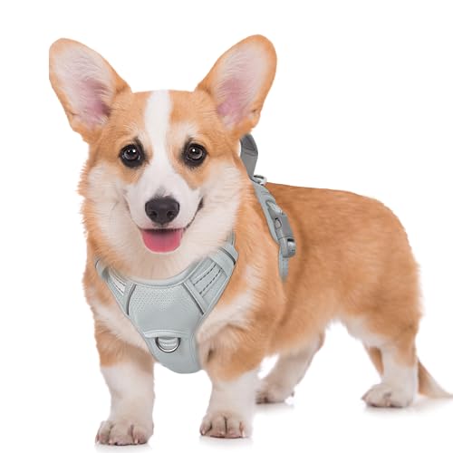 Dog Harness for Medium Sized Dog No Pull Dog Vest ID Tag Pocket (Grey / Medium)