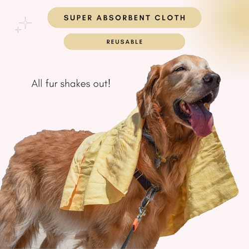 HydroSwipe for Dogs