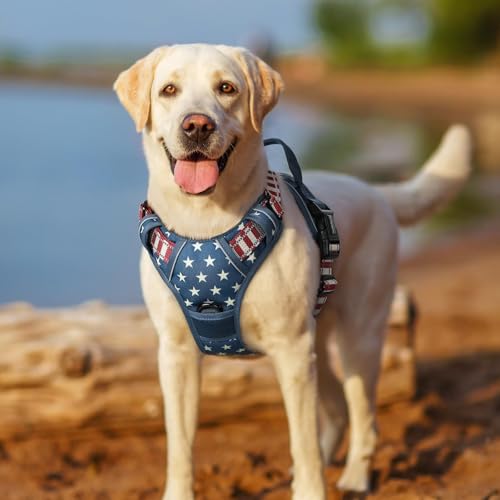 Dog Harness No Pull for Small Dogs with 2 Leash Clips (Small / Blue Star)