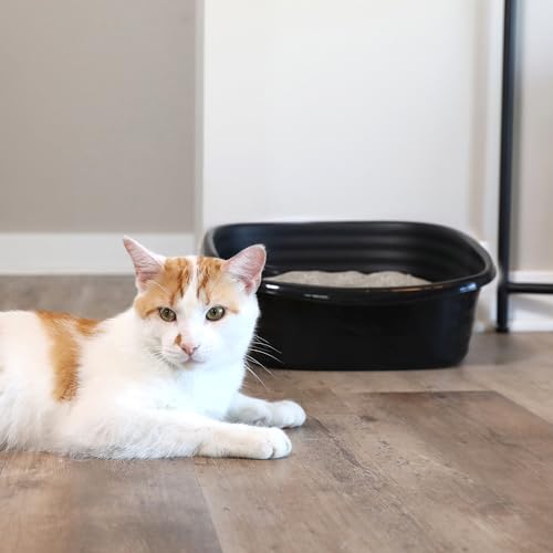 Simply Recycled Plastic Cat Litter Pan (Large / Recycled)