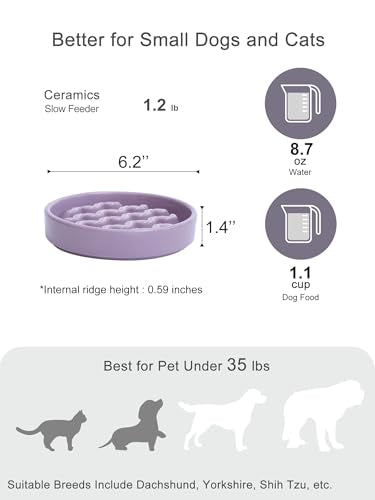 Ceramic Slow Feeder Dog Bowl (Macroni-Purple / Small)