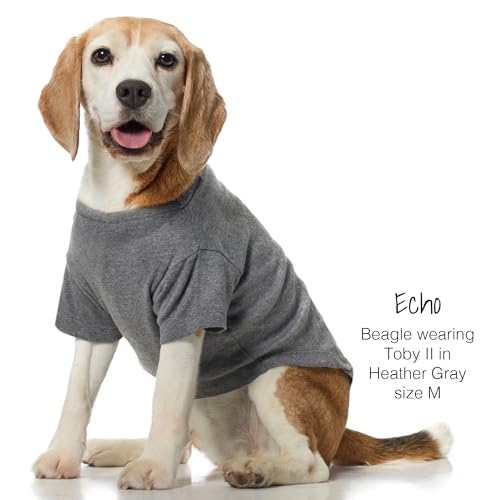Toby II Dog T (Gray Ombre / XX-Small (4-7 lbs))