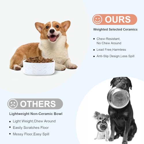 Ceramic Dog and Cat Bowls 2 Pack (6.1 in - 3.6 cups / Paw White - Only Bowls*2)
