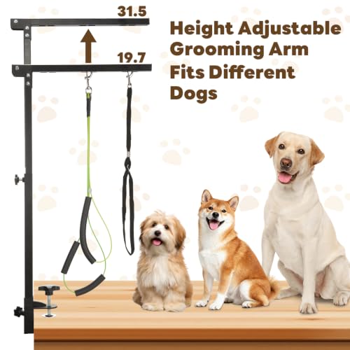 Dog Grooming Arm for Table