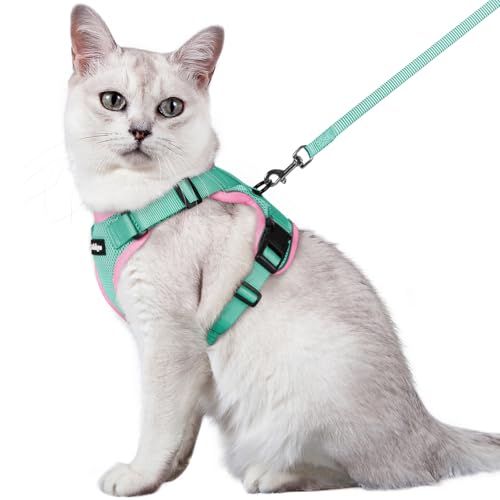 Cat Harness and Leash Set (M / Green & Pink)
