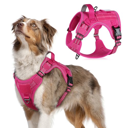 Tactical Dog Harness for Medium (Rose Red / Medium)
