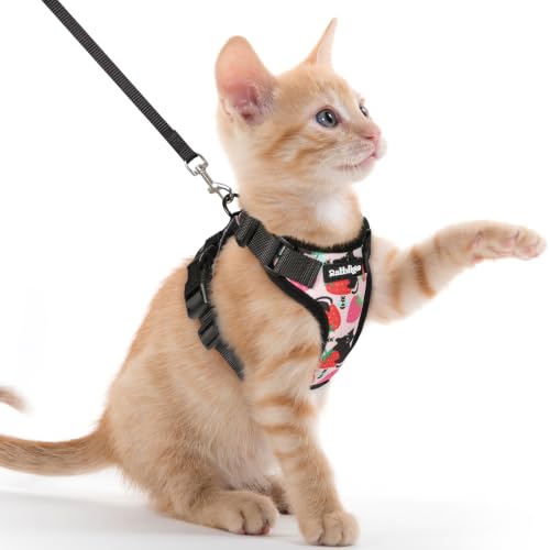 Cat Harness and Leash Set (Xxs / Berry Pounce)