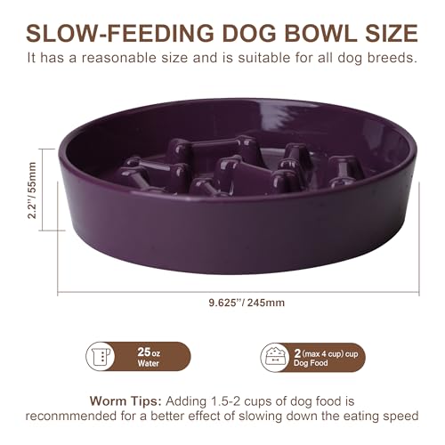 Ceramic Slow Feeder Dog Bowls (Purple Bone)