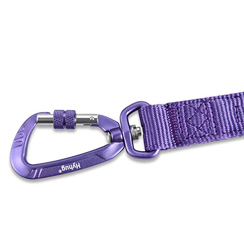 Short Dog Leash 24" (Ultra Violet / 24 Inches)