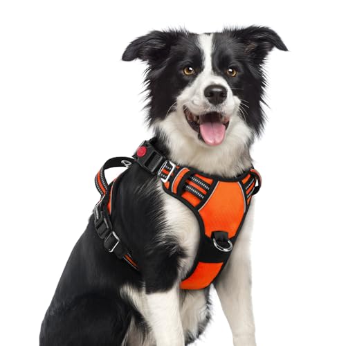 Dog Harness Medium Sized (Orange / Medium)