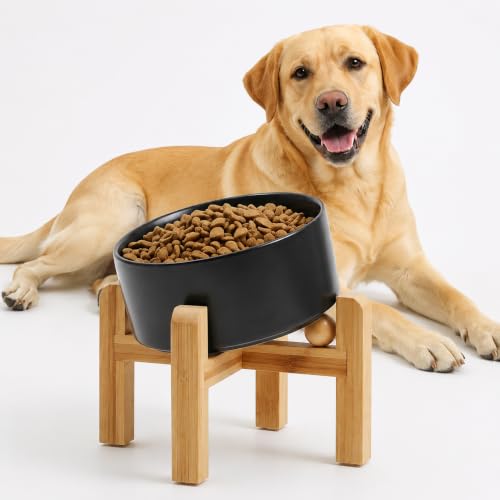 Black Elevated (Black / 7.6 CUPS - Medium Large Dog Bowls)