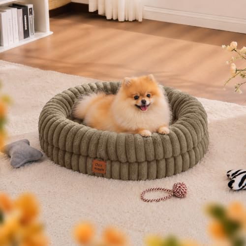 Orthopedic Dog Bed (Taupe / M(30*24*7))