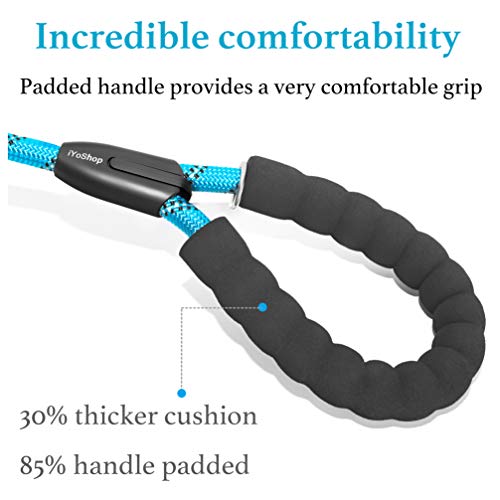 Double Dog Leash (Blue / Medium)