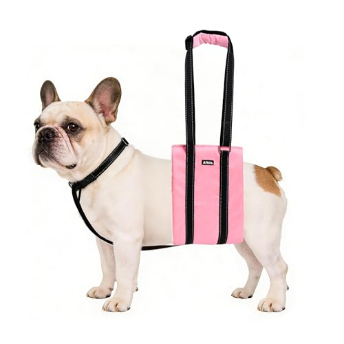 Dog Lift Harness for Senior (Pink / S)