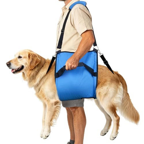 Rehab Dog Lift Harness (Blue / Large)