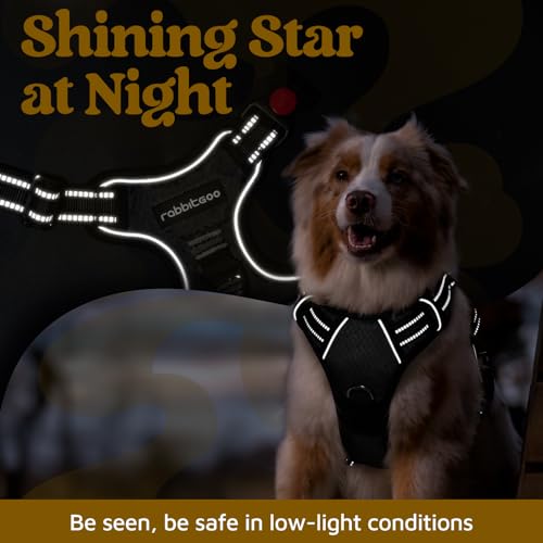 Dog Harness Small Sized (Black / Small)