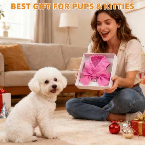 Small Dog Harness and Leash Set (Fuchsia / S (Chest Girth: 13.8"-15.7"))