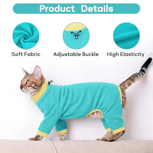 Cat Behavior Control Sweater (Large / Turquoise)