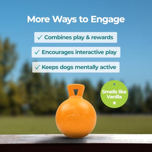Tug-n-Toss - Heavy Duty Chew Ball w/ Handle (Orange, 6") (Orange / Medium (6 in))