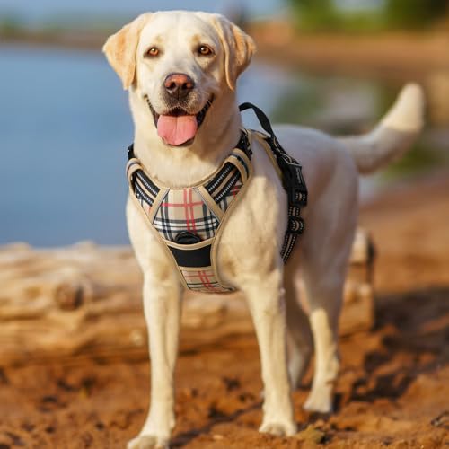 Dog Harness No Pull for Large Dogs with 2 Leash Clips (Large / Beige Plaid)