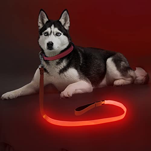 LED Light Up Dog Leash (Red / 4FT)