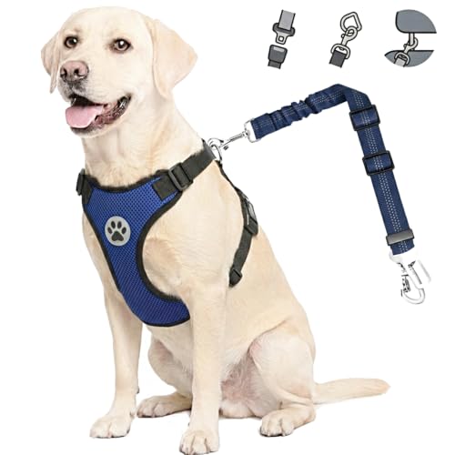 Dog Car Harness Seat Belt (Medium / Blue)