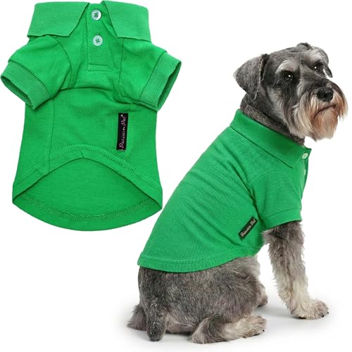 Dog Polo Shirt (2XL / Green Polo)