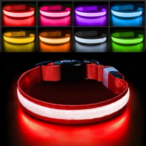 Light up Dog Collar (Red / L(19 inch-23.6 inch))
