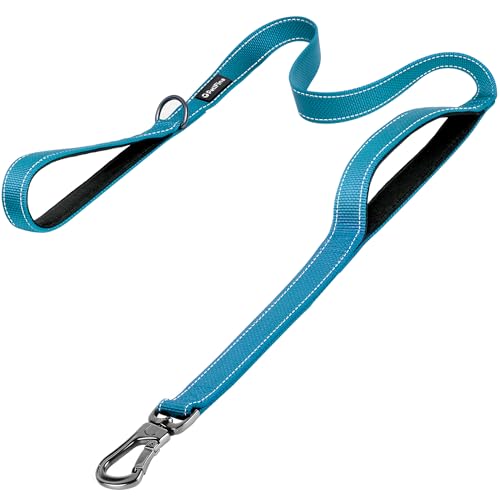6FT Heavy Duty Dog Leash with Soft Padded Double Handle (6 FT x 1 in Wide / Blue)