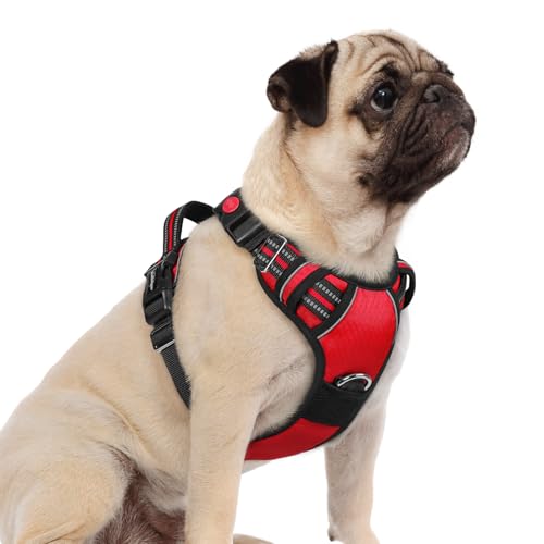 Dog Harness Small Sized (Red / Small)