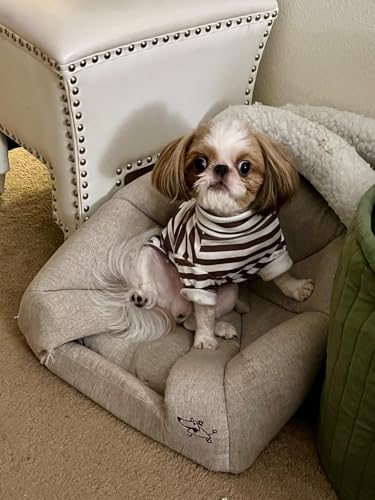 Turtleneck Dog Shirt Cute Doggie Embroidery Super Soft Dog Sweatshirt Stretchy Striped Puppy Pullover for Cats Small Medium Large Dogs (Brown Striped / X-Small)