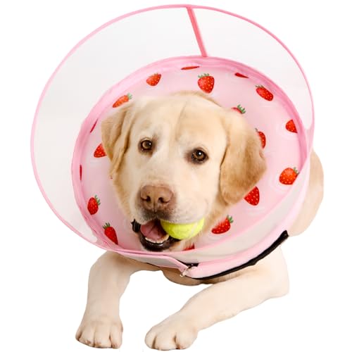 Inflatable Dog Cone Collar for Large Medium Small Dogs (Strawberry Print / X-Large)