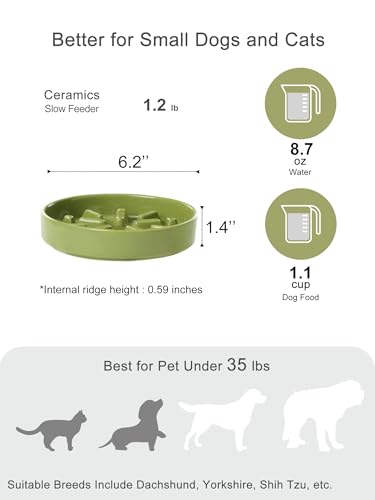 Ceramic Slow Feeder Dog Bowl (Lights-Green / Small)