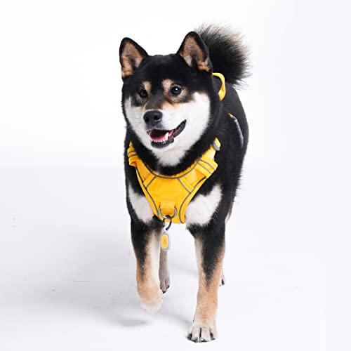 No Pull Dog Harness with Pet ID Tag (XL (Chest: 32"-38" ) / Pineapple Yellow)