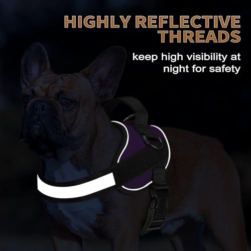 Essential Dog Harness (M / Purple)
