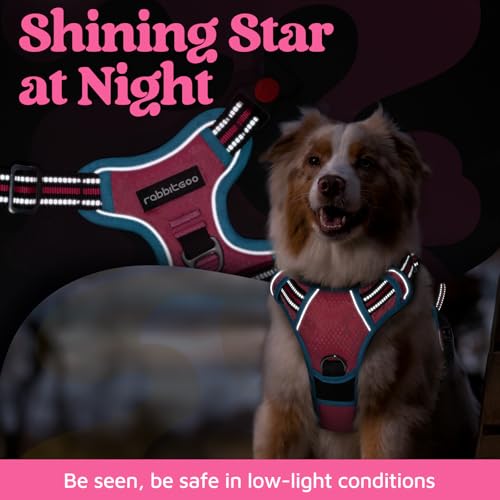 Dog Harness for Large (Pink & Blue / X-Large)