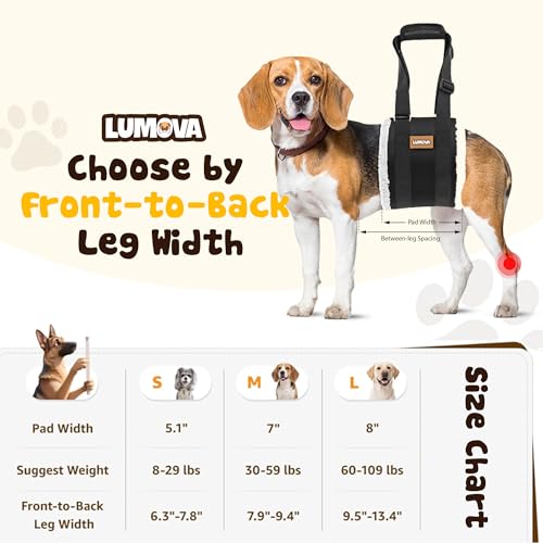 Dog Lift Harness (Small (S))