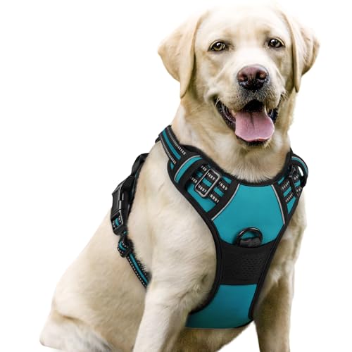 Dog Harness No Pull with 2 Leash Clips (Large / Teal)