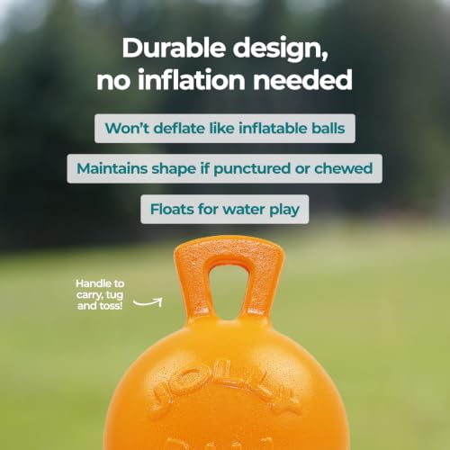 Tug-n-Toss - Heavy Duty Chew Ball w/ Handle (Orange, 8") (Orange / Large (8 in))